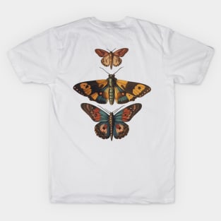 Trio of Moths T-Shirt